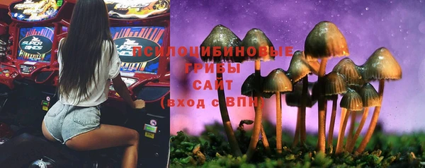 не бодяженный Армянск